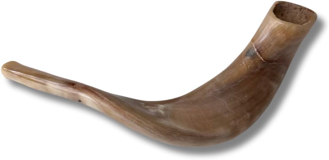 Autentisk & Kosher polerad Ram's Horn Shofar från Israel (10 tum - 12 tum)