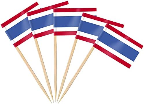 AhfuLife 100/200 st Israels tandpetarflaggor tårtdekorationer, Israels cocktailpinne flagga för smörgås mat cupcake toppers servis, världscupa, festtillbehör, pub, kungligt evenemang dekor (100 st)