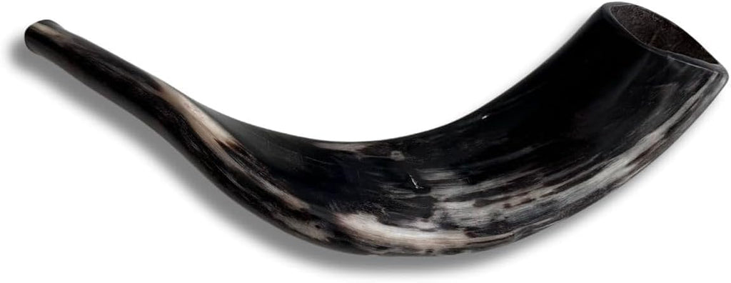 Autentisk & Kosher polerad Ram's Horn Shofar från Israel (10 tum - 12 tum)