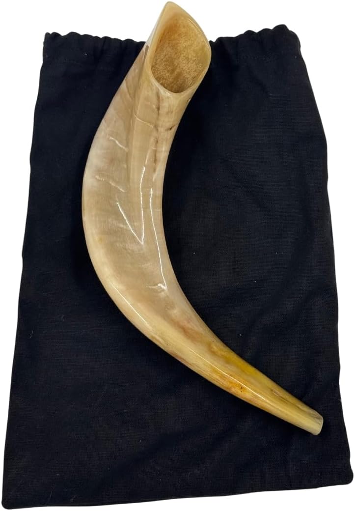 Autentisk & Kosher polerad Ram's Horn Shofar från Israel (10 tum - 12 tum)