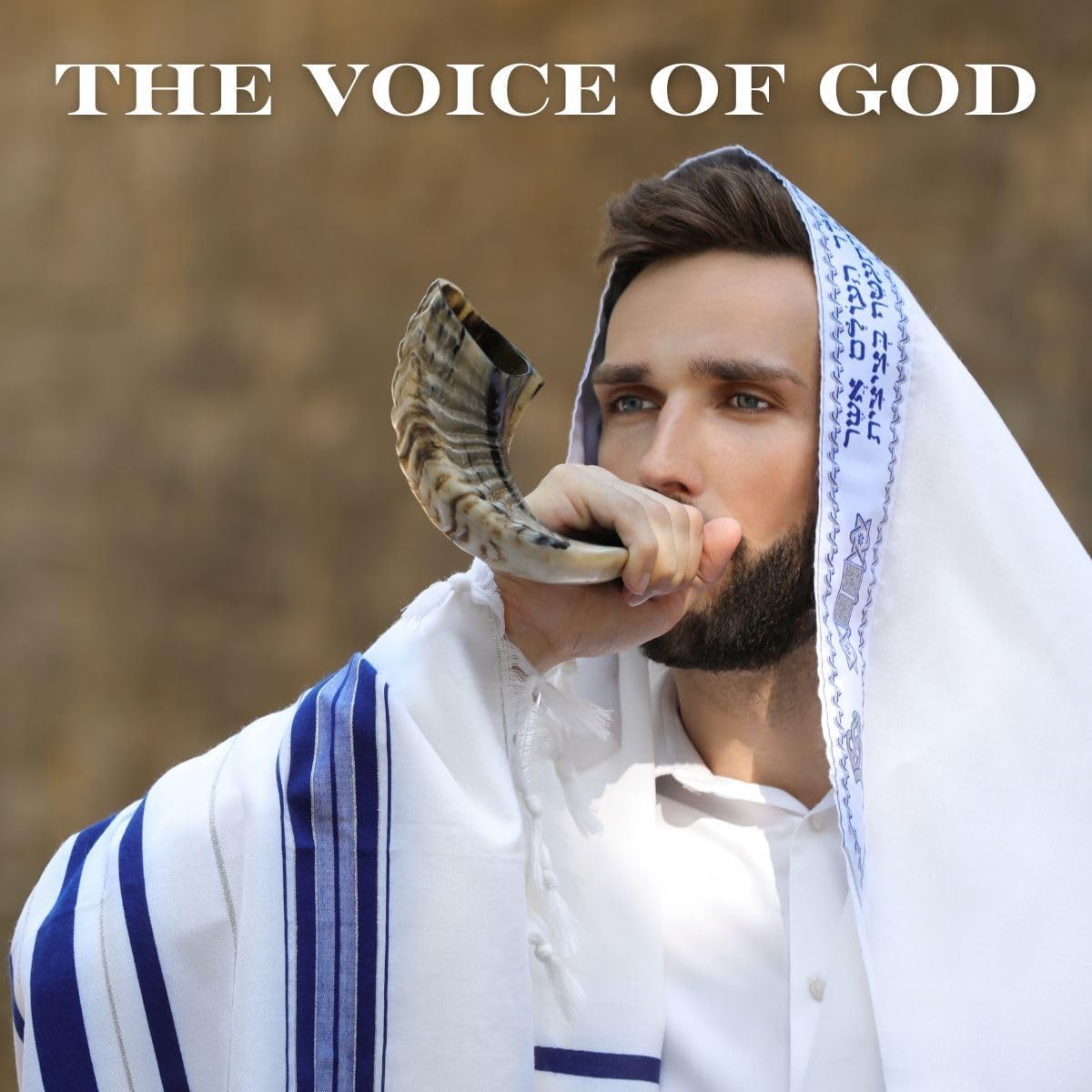 Autentisk & Kosher polerad Ram's Horn Shofar från Israel (10 tum - 12 tum)