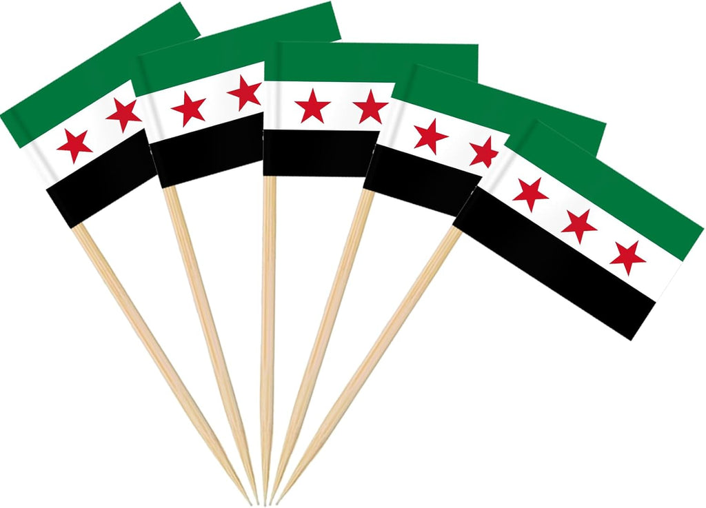 AhfuLife 100/200 st Israels tandpetarflaggor tårtdekorationer, Israels cocktailpinne flagga för smörgås mat cupcake toppers servis, världscupa, festtillbehör, pub, kungligt evenemang dekor (100 st)