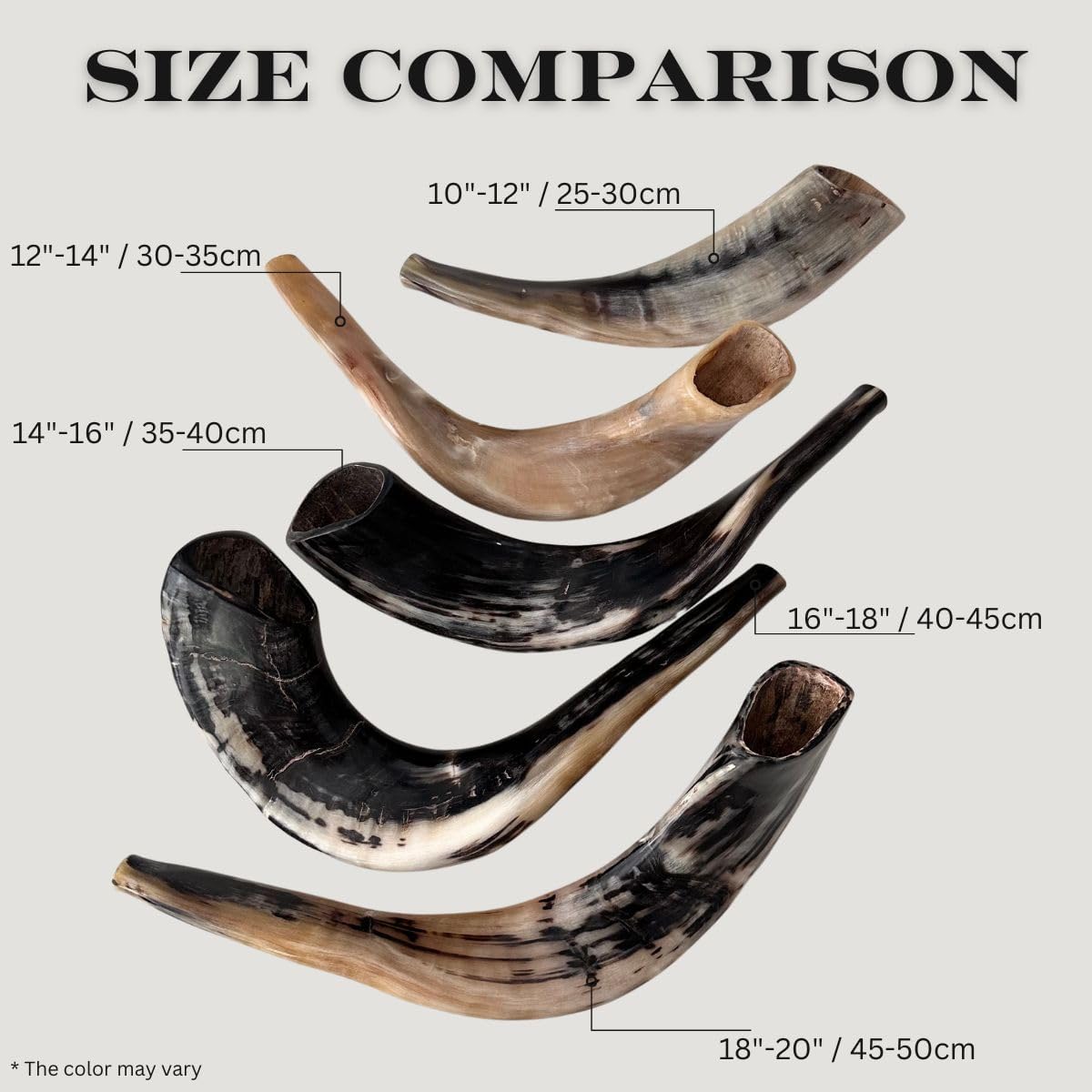 Autentisk & Kosher polerad Ram's Horn Shofar från Israel (10 tum - 12 tum)