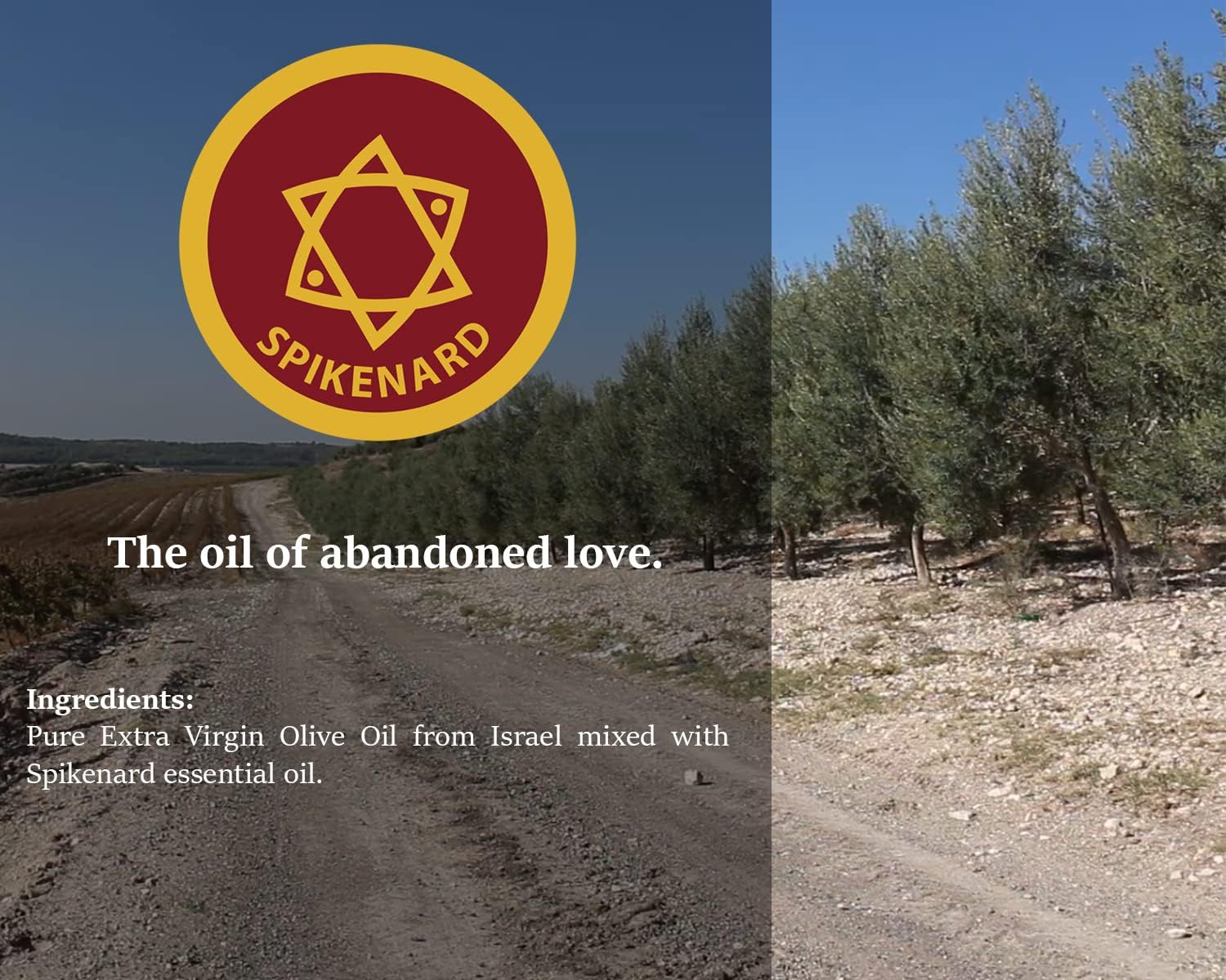 Salboljeboutique handgjord i det heliga landet Israel – 100 % naturliga ingredienser, ren jungfruolja, dofter av den heliga bibeln – andliga övningar, Spikenard – 30 ml