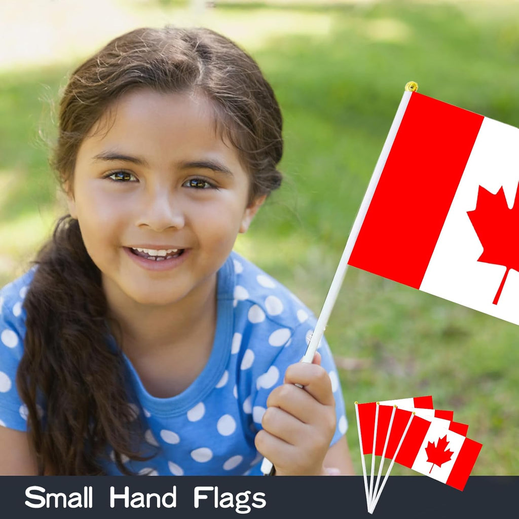 AhfuLife 15 stycken små Israel-flaggor för israelisk dekoration, mini Israel, handhållen flagga med 30 cm vit stolpe för Jom HaAtzma'ut Synagoge, solidaritetsfest, hem, trädgård, bar, dekoration